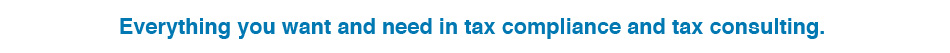 Everything you want and need in a tax compliance and tax consulting